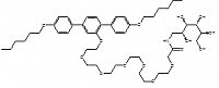 Fig 2:
Facial amphiphilic molecule (A6/6) with large lateral hydrophilic group (Chen et al. (2005) J. Am. Chem. Soc 127, 16578-16591)
