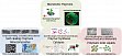 Biomimetic Polymers