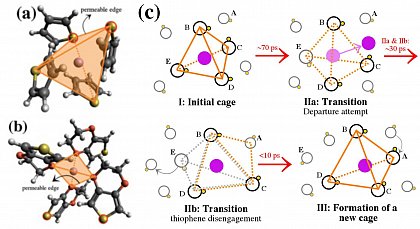 Figure 4: Local structure around a Li cation in thiophene (a) and 3,4‐ethylenedioxythiophene (b) liquids. Also shown in (c) is the mechanism of cation hopping between thiophene cages (cage hopping), as revealed by AIMD simulations. H, C, N, Li, and S atoms are shown in white, grey, blue, purple, and yellow colors.