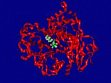 Dr. Friedemann_links