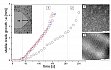 Risskinetik von Blockcopolymeren abhngig von der Morphologie: Die lamellare Morphologie im Falle dieser S-B-Blockcopolymere fhrt zur Reduzierung der Rissausbreitungsgeschwindigkeit (Probe2) im Vergleich zum S-B-Blockcopolymer mit einer co-kontinuierlichen Morphologie (Probe 1)