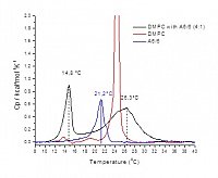 Fig 3
DSC scans of A6/6, DMPC, and a mixture of both indicating incorporation of A6/6 into DMPC bilayers.