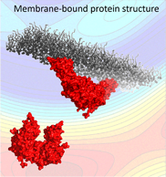 membrane-bound protein structure