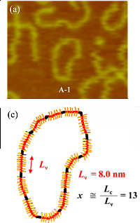 Modified from the reference54 with permission. Copyright 2019, American Chemical Society.