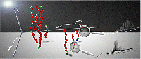 Reproduced from the reference58 with permission. Copyright 2012©, American Chemical Society.