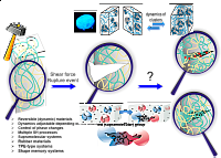 Modified with permission from the references.7,8,61 Copyright 2013, John Wiley and Sons and Copyright 2018, WILEY-VCH Verlag GmbH & Co. KGaA, Weinheim