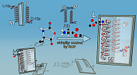 Reproduced with permission from the reference.17 Copyright 2020©, American Chemical Society.
