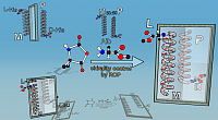 Reproduced with permission from the reference.17 Copyright 2020, American Chemical Society.