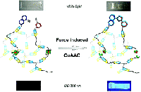 Figure II-2 Biewend