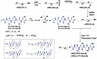 Figure III-3 Kumar