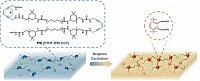 Cai, Binder, Macromol Rapid Commun. 2023, 202300440