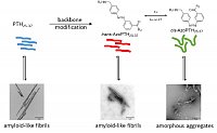 Paschold, A. et al, Biomedicines, 2022, 1512