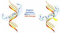 Cai, Y. et al, Polmyer Chemistry, 2022, 3412