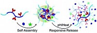 Wu, Y. et al, Polym. Chem., 2022, 1010