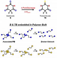 Li, C. et al, Int.J.Macromol.Sci., 2021, 12679