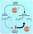 Adjedje, V. et al, Green Chemistry, 2021, 9433