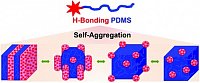 Chen, S. et al, Polym. Chem. 2021, 4111