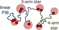 Mordvinkin, A. et al, Macromolecules, 2021, 5056