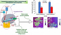 Raimondo, M. et al, Polymers, 2021, 1401