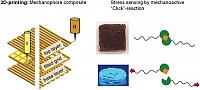 MacromolRapidCommun 2021 Rupp