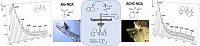 Rohmer ChemistryEurJ 2023