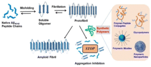 Rupali PolymerChemistry 2023