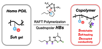 Li Polymers 2023