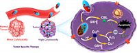 Zhou Biomacromolecules 2022