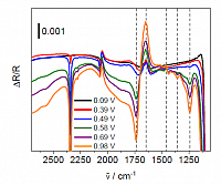 IR difference spectra of ethylene glycol oxidation at a polycrystalline Pt electrode in perchloric acid solution. From: “Spektro-elektrochemische Charakterisierung der Ethylenglycol-Oxidation an Platin- und Gold-basierten Katalysatoren“, Dissertation, Alice Schätz, Halle (Saale) 2021.
