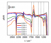 IR difference spectra of ethylene glycol oxidation at a polycrystalline Pt electrode in perchloric acid solution. From: Spektro-elektrochemische Charakterisierung der Ethylenglycol-Oxidation an Platin- und Gold-basierten Katalysatoren, Dissertation, Alice Schtz, Halle (Saale) 2021.