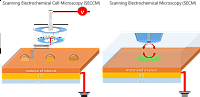 In situ methods
