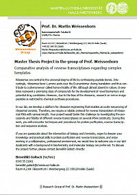 Benedikt Masters Project